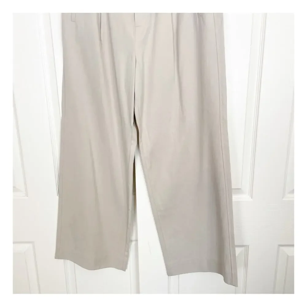 Everlane Way-High Drape Wide Leg Trousers Sandstone Neutral Pants NWT Sz 10 S